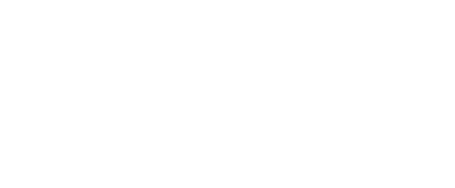 Arca Perícia Contábil